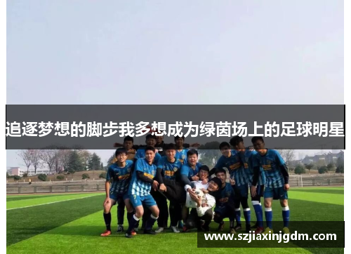 追逐梦想的脚步我多想成为绿茵场上的足球明星